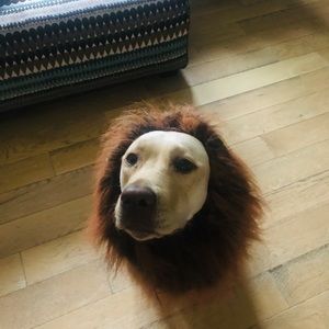 Meet your Posher, Niki